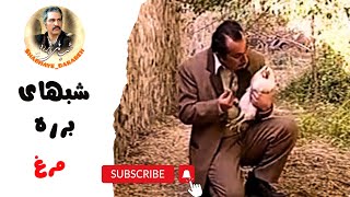 🎬 شب‌های برره  طنز ناب و بی‌نظیر مهران مدیری [upl. by Rim398]