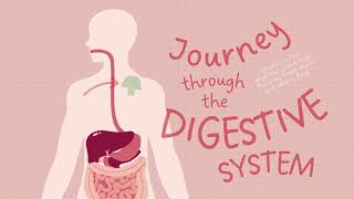 Digestive System Educational Video  Learning with Maliha [upl. by Alag]