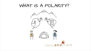 What is a Polarity [upl. by Nolly]