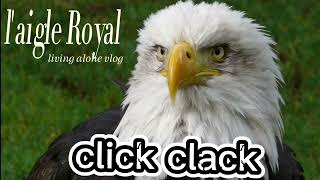 laigle Royal 🦅CLICKCLACK 🏌️✨ [upl. by Oxley585]