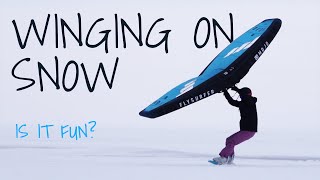 Learning to Snow Wing [upl. by Kreindler]