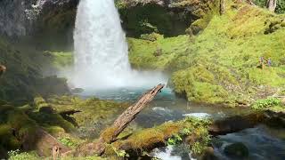 Hiking with Yasmin  Koosah and Sahalie Falls Oregon [upl. by Bram]