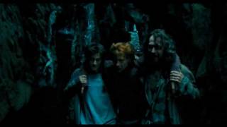 Funny Weasley Scene 43  quotYou almost tore my leg offquot [upl. by Cressi]