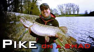 Windy Lake Pike Fox Rage Spikey Shad Redhead [upl. by Howenstein361]