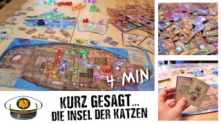 Kurz gesagt 🐱 INSEL DER KATZEN Überblick in 4 MINUTEN [upl. by Cherie]