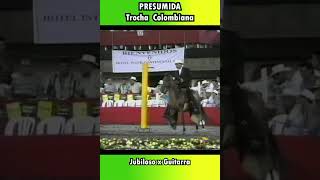 PRESUMIDA MUNDIAL CONFEPASO 1997 CALICOLOMBIA trocha horse shortsvideo [upl. by Alcine2]