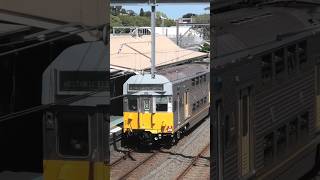 S Set at Petersham australiantrains sydneytrains railfanning [upl. by Anaher]