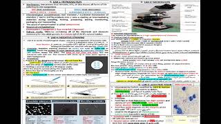 SHEET FINAL REVISION GENERAL MICROBIOLOGY شرح بالعربي [upl. by Yenattirb]