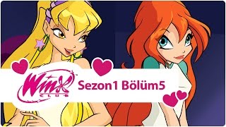 Winx Club  Season 1 Full Episodes 131415 REMASTERED  Best Quality [upl. by Caffrey]