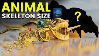 3D Animal Skeleton Size Comparison  3D MEGA TITAN Skeleton [upl. by Attiuqehs137]