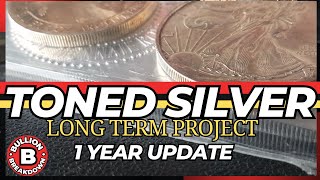 Long Term Silver Toning  12 month update silverstacking [upl. by Gresham]