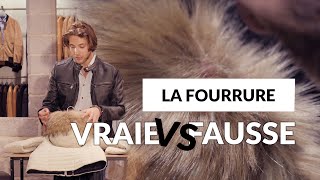 Comment distinguer une fourrure véritable dune fourrure synthétique [upl. by Biagio449]