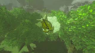 Korok seeds  Rabia Plain  Hateno Tower 32  Zelda BOTW [upl. by Birmingham]