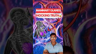 MAMMARY GLANDS The Shocking Truth Behind Their Function 😱  Biology NEET  Class 12th [upl. by Judenberg]