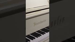 Bösendorfer 185VC Baroque Grand Piano at Classic Pianos Denver [upl. by Eifos888]