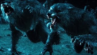 Top 10 Werewolf Movies REDUX [upl. by Durman]