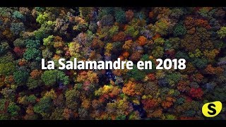 La Salamandre en 2018 [upl. by Uok593]