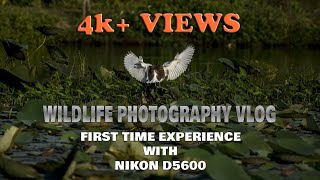 WILDLIFE PHOTOGRAPHY VLOG WITH NIKON D5600 amp 70300mm LENS [upl. by Sayce]