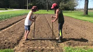 How to quickly and easily plant a large garden Dibbler in action at Hutchings Farm [upl. by Hillier266]