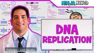 Cell Biology  DNA Replication 🧬 [upl. by Staci]