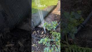 Repairing reticulation in Perth💧 Fixing leak after leak ReticRepairs ReticulationRepairs [upl. by Far842]