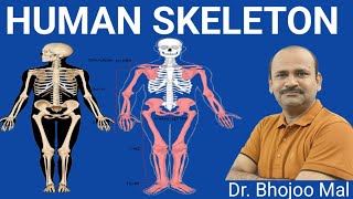 Human Skeleton  Axial Skeleton by Dr Bhojoo Mal [upl. by Perzan]