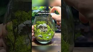 shorts aquarium aquascape fishtank fish plants fruit fruitcutting facts amazingfacts cr7 [upl. by Irab344]