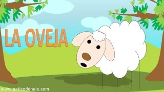 La oveja hace bee  Animales para niños la oveja  sonidos de animales para niños [upl. by Angele]