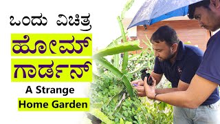 Greatest Home Garden Of India  Home Gardening Ideas  Organic Farming in a City Home Tips Kannada [upl. by Antoinetta437]