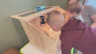 Everygrow Intelligent Brooder Box for Chicks [upl. by Mendy]