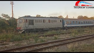 Trenuri pe Apus Langa Depoul Oradea  Trains on Sunset Near Oradea Depot  30 Iulie 2024 🚅🌇 [upl. by Ammon397]