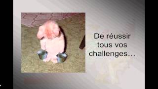 L An 2014 souhait des animaux par Simone [upl. by Bywaters272]