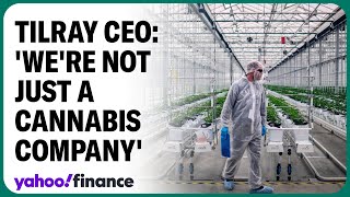 Tilray CEO Were a consumer goods company [upl. by Gertie670]