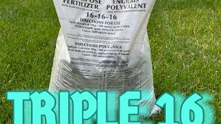 Benefits of TRIPLE 16 lawncare grass bermudagrass perennialryegrass creepingredfescue [upl. by Aiet428]