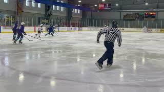 Tampabay Hockey Club Placement tournament Game 106092024 [upl. by Els740]