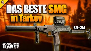 Wieso du die SR2M spielen solltest  Tarkov Budget Waffen Guide [upl. by Anitnerolf360]