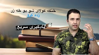 څنګه کولای شو یو څه زر زده کړو  يادگیری سریع  How to learn fast [upl. by Armyn375]