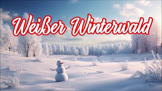 Weißer Winterwald Winter Wonderland  WeihnachtsliedChristmas carol  English translation [upl. by Schramke]