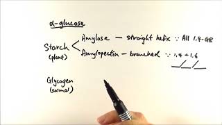 AS Biology  αglucose structures OCR A Chapter 33 [upl. by Anerhs]