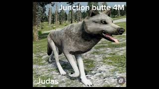 Wolfquest junction butte wolf names [upl. by Adirahs]