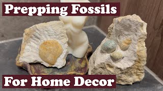 Prepping fossils for home decoration [upl. by Arahs]