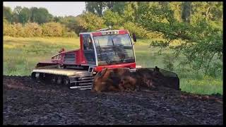 Prinoth T4S pushing peat to extend pool which digger got stuck in and we recovered J amp R Millington [upl. by Nadnal]