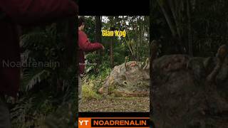 giant toad attack movieclips shortvideo [upl. by Germayne103]