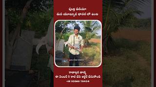 Electrical wireless rechargeable grass cutter Raja Reddy Bommakka [upl. by Yorel]