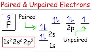 How To Determine The Number of Paired and Unpaired Electrons [upl. by Romy]