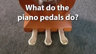 What do the pedals on a piano do  Cunningham Piano Company Philadelphia King of Prussia PA [upl. by Brawner]