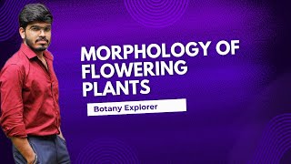 MORPHOLOGY OF FLOWERING PLANTS  CHAPTER 3 BOTANY  PLUS ONE [upl. by Gnim]