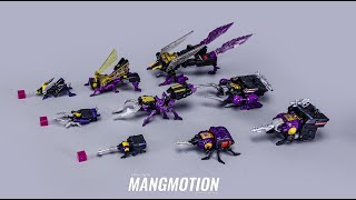 Transformers Insecticons NewageHasbro IDWLegacy review [upl. by Einnob]