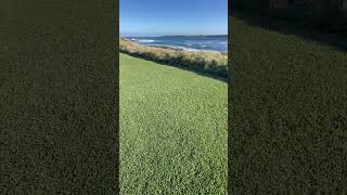 Could this be the Worlds best looking Grass Lawn  🏖️ grass lawn beach [upl. by Aruasi]