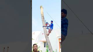 man sawing wood from a tree high up [upl. by Latoye]